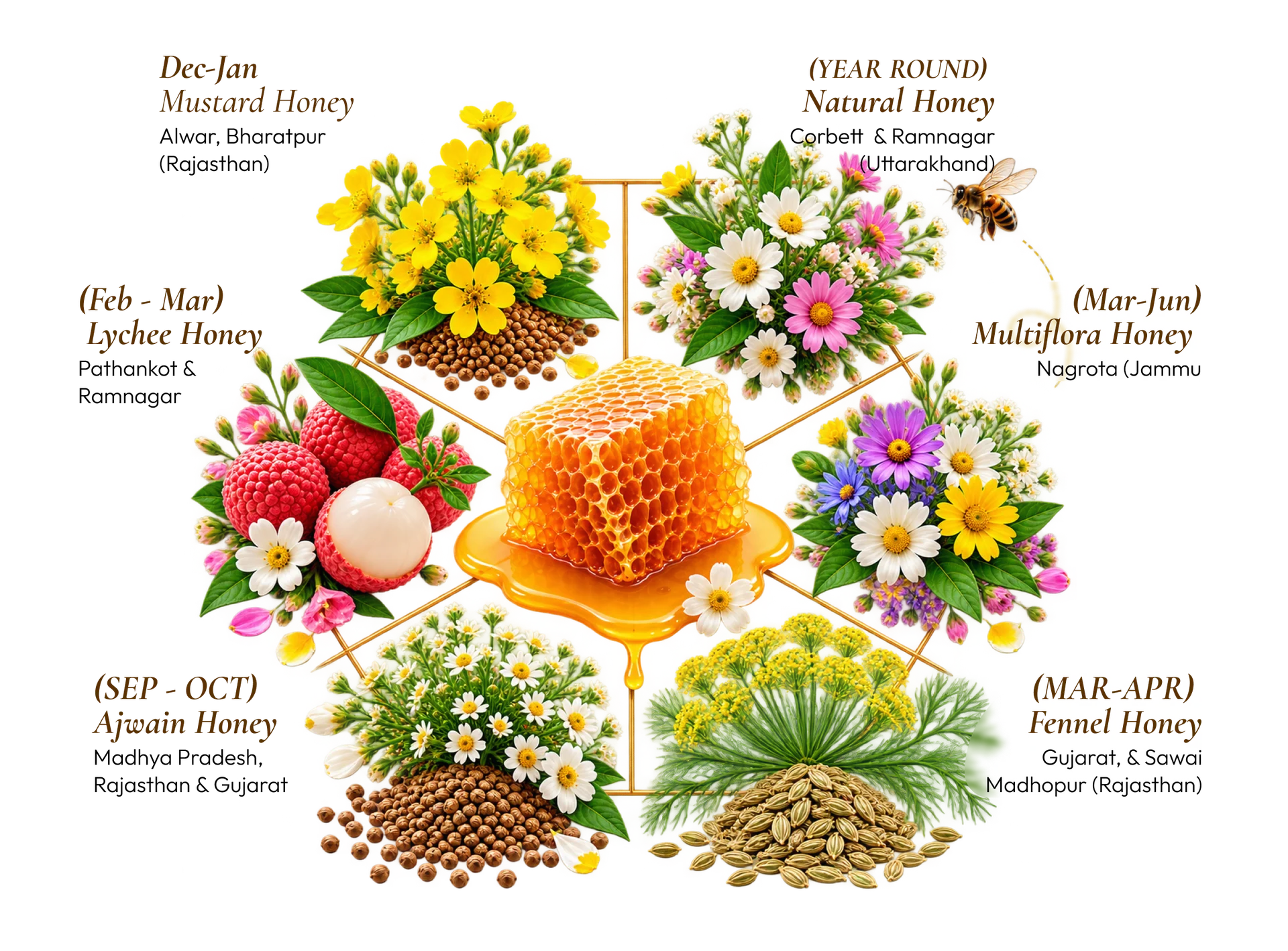 Six Distinct Honey Flavours - Shuddh Veda