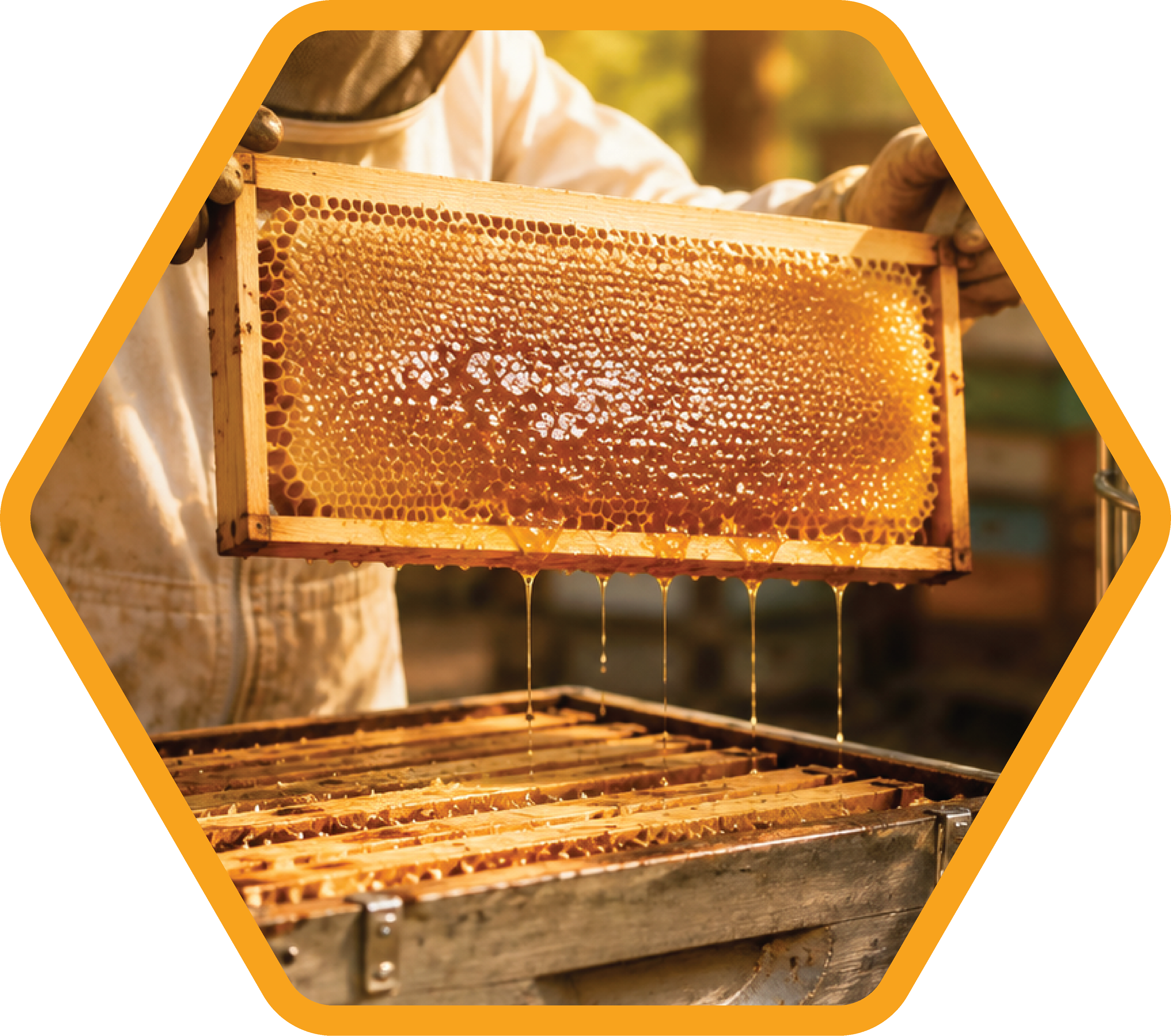 Ethical Beekeeping